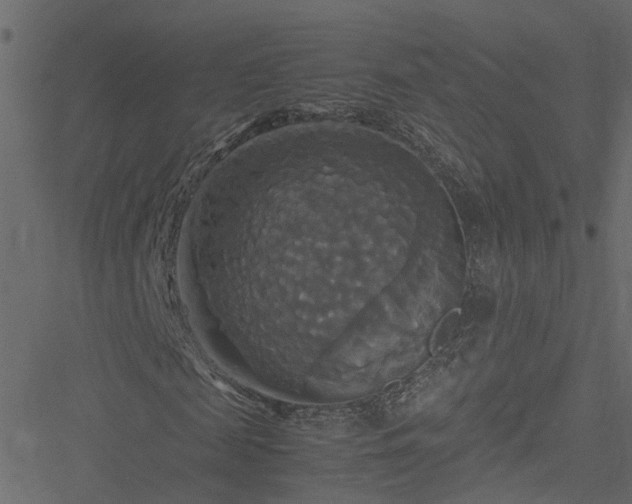 X0000051240817200506241519