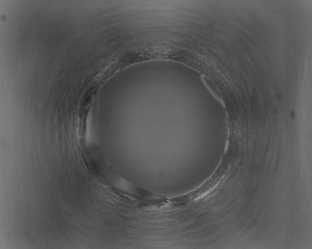 X0000051240818200506241519