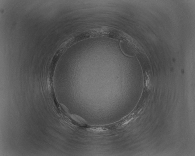 X0000051240819200506241519