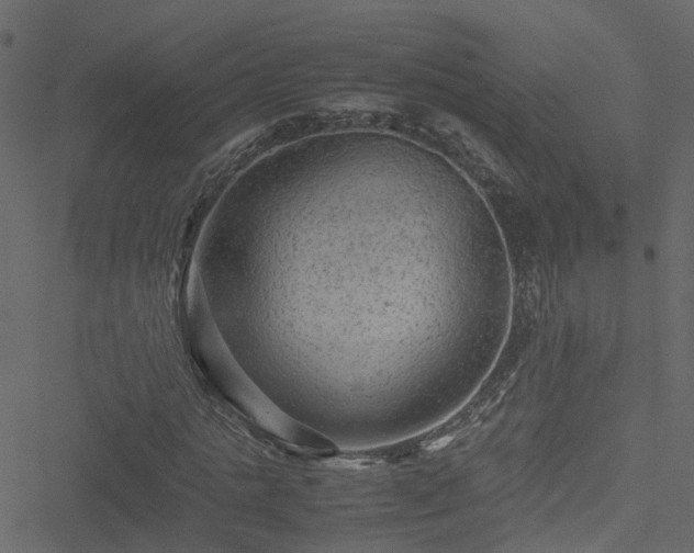 X0000051240821200506241519