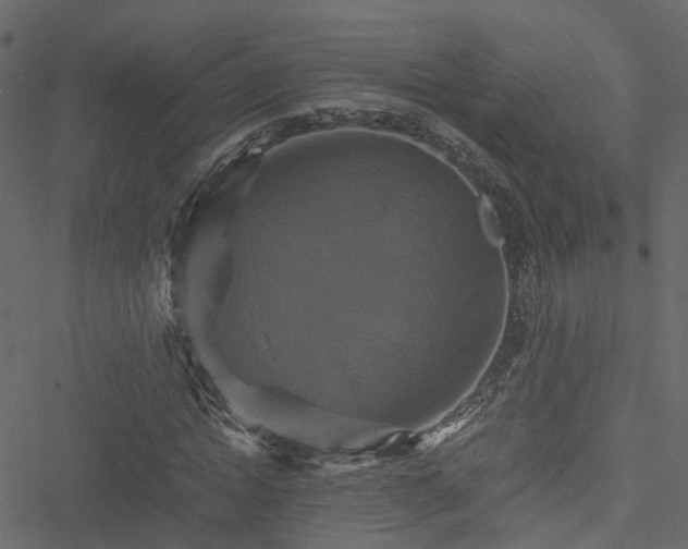 X0000051240822200506241519