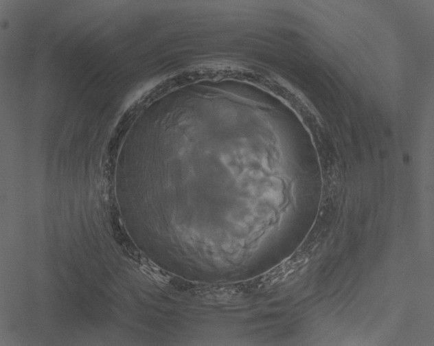 X0000051240823200506241519