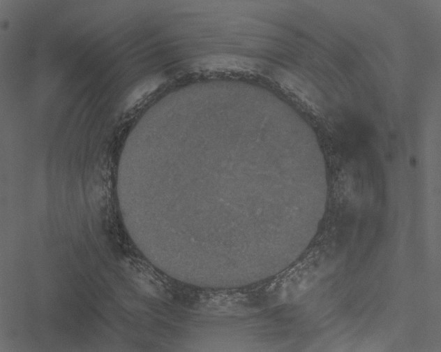 X0000051240824200506241519