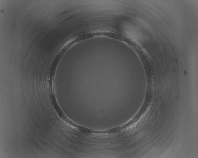 X0000051240825200506241519