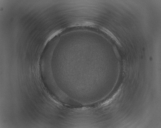 X0000051240826200506241519