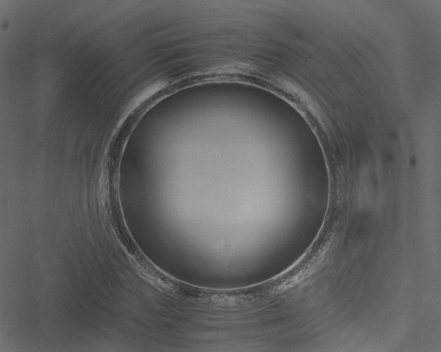 X0000051240827200506241519