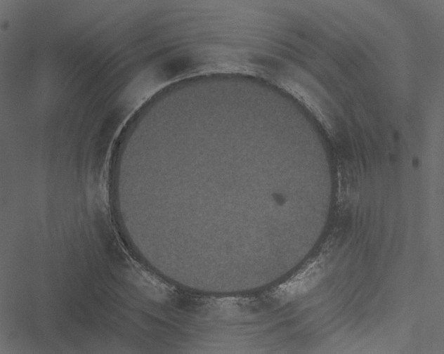 X0000051240828200506241519