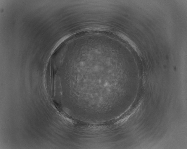 X0000051240829200506241519