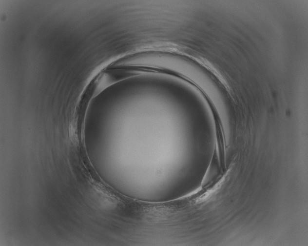 X0000051240830200506241519