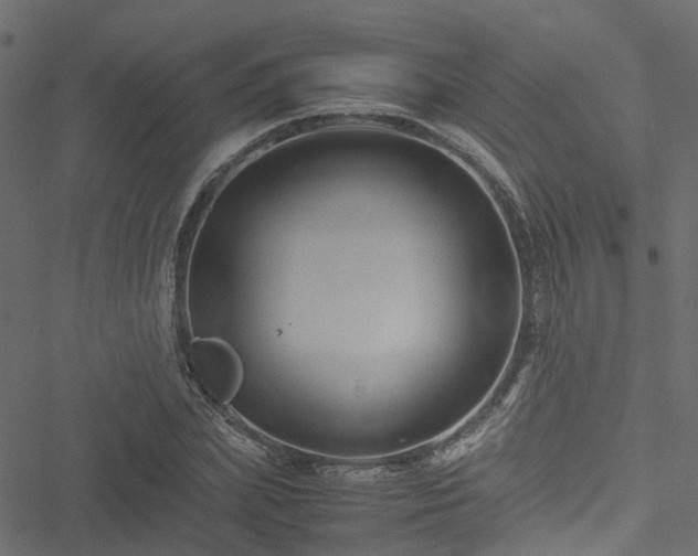 X0000051240831200506241519