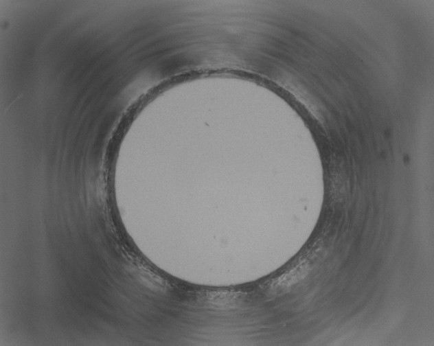 X0000051240832200506241519