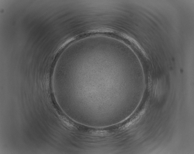 X0000051240833200506241519