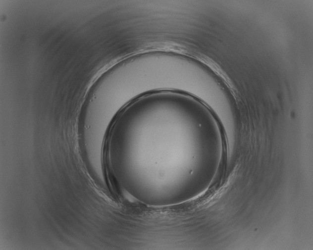 X0000051240834200506241519