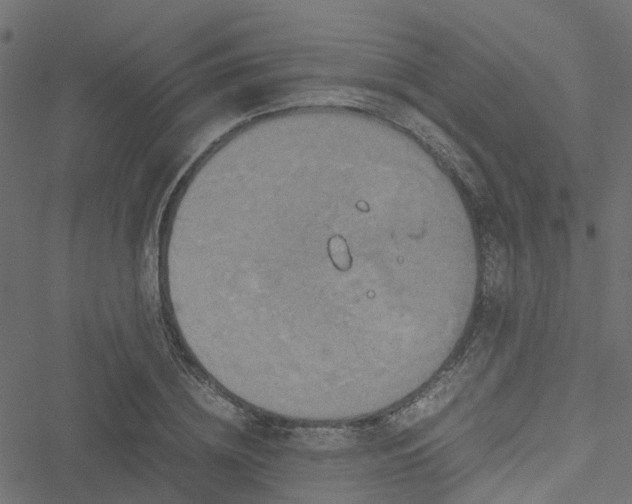 X0000051240836200506241519