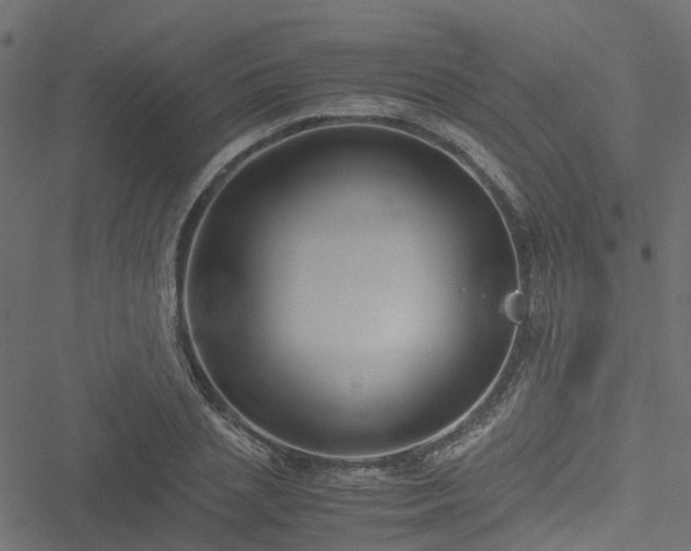 X0000051240837200506241519