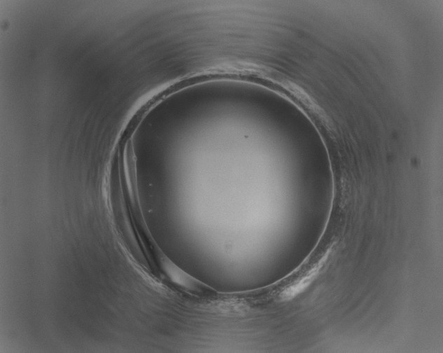 X0000051240838200506241519