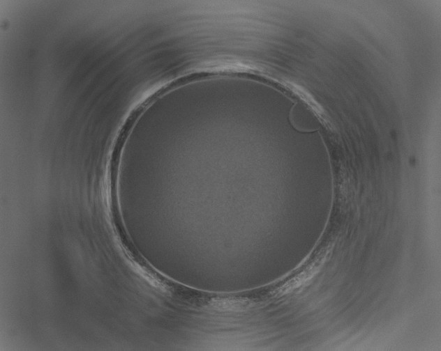 X0000051240840200506241519