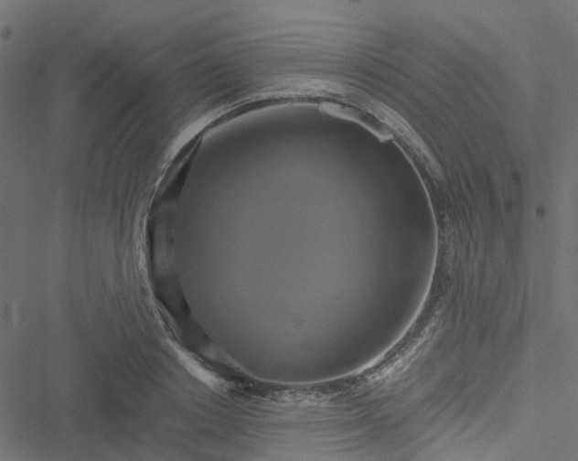 X0000051240842200506241519