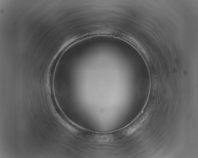 X0000051240843200506241519