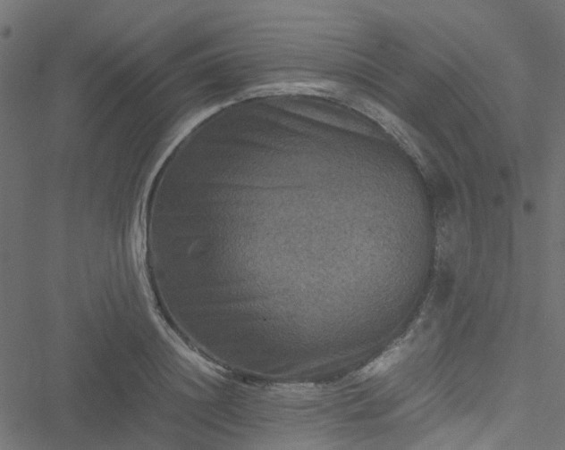 X0000051240844200506241519