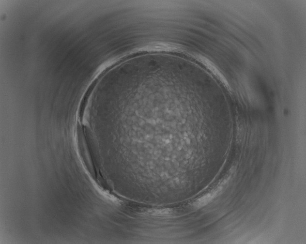 X0000051240845200506241519