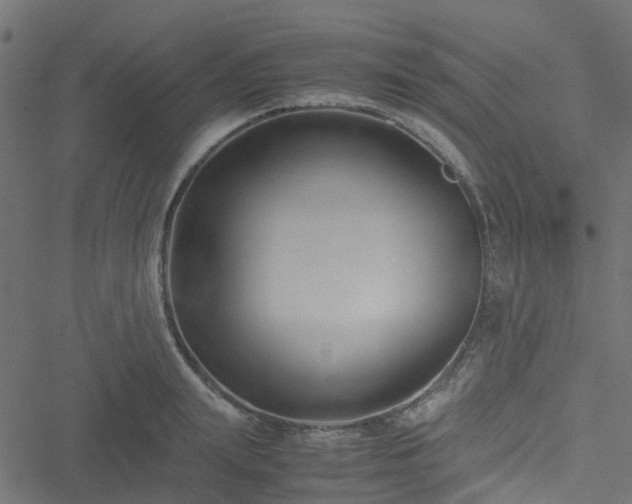 X0000051240847200506241519