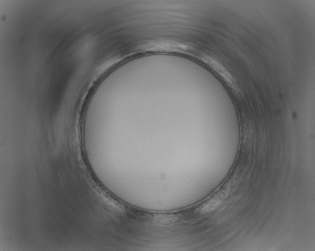 X0000051240848200506241519