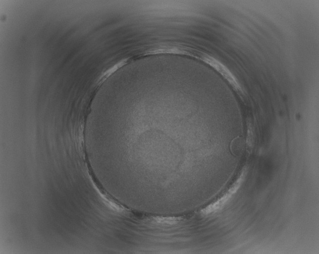 X0000051240849200506241519