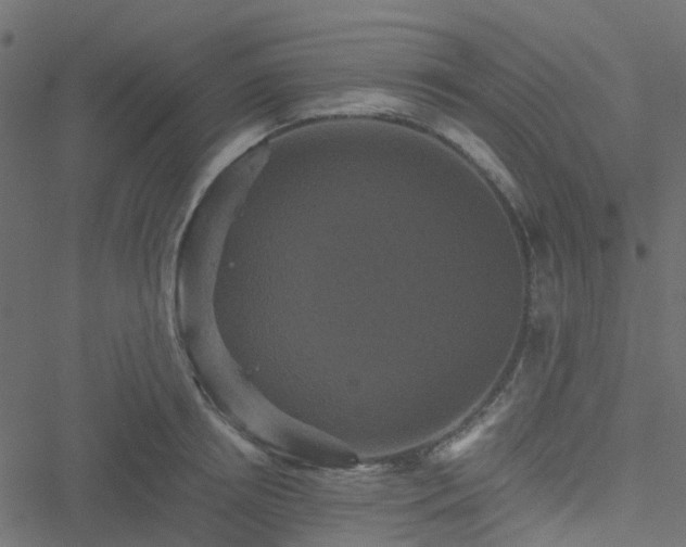 X0000051240850200506241519