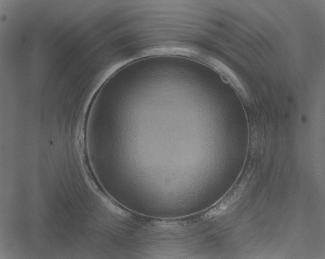 X0000051240852200506241519