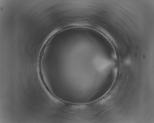 X0000051240853200506241519