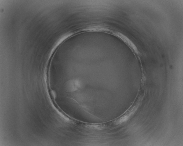 X0000051240855200506241519