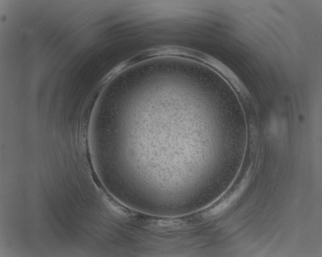 X0000051240857200506241519