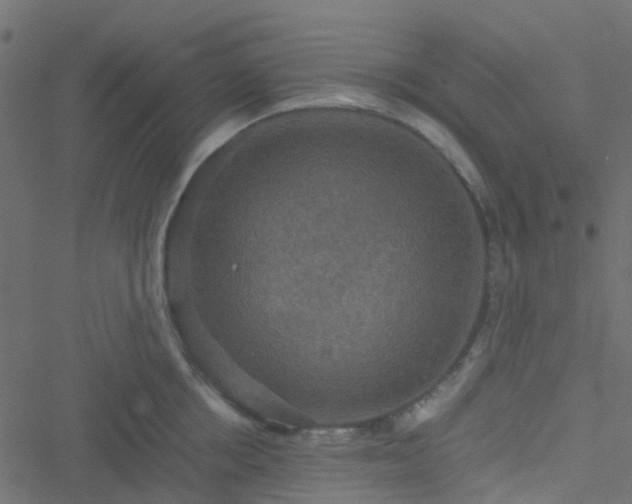 X0000051240858200506241519