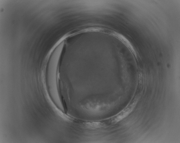 X0000051240859200506241519