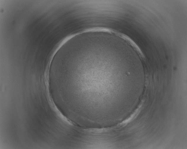 X0000051240860200506241519