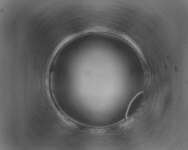 X0000051240861200506241519