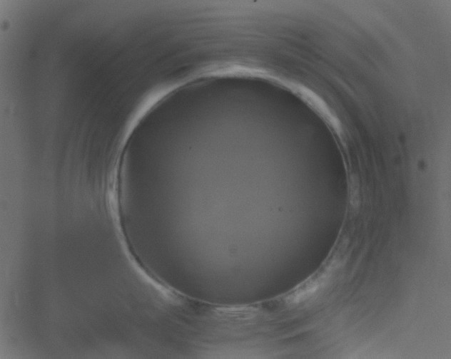 X0000051240863200506241520