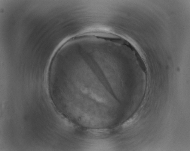 X0000051240864200506241520