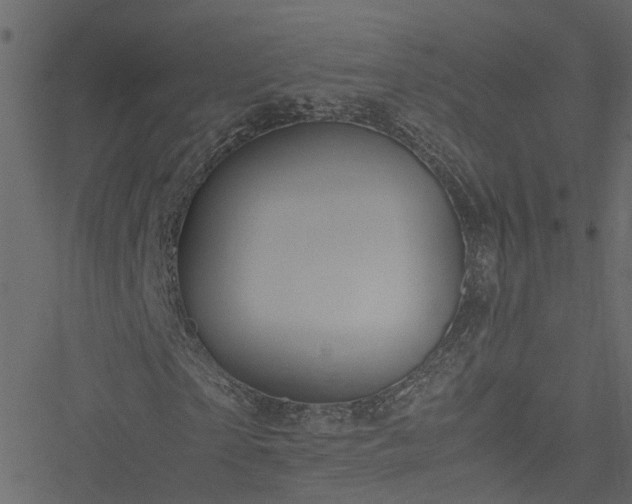 X0000051240865200506241519