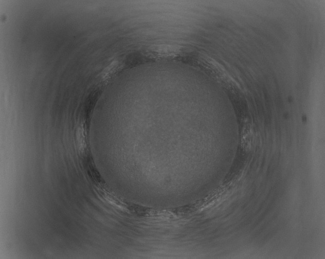 X0000051240866200506241519