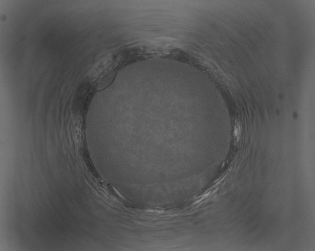 X0000051240867200506241519