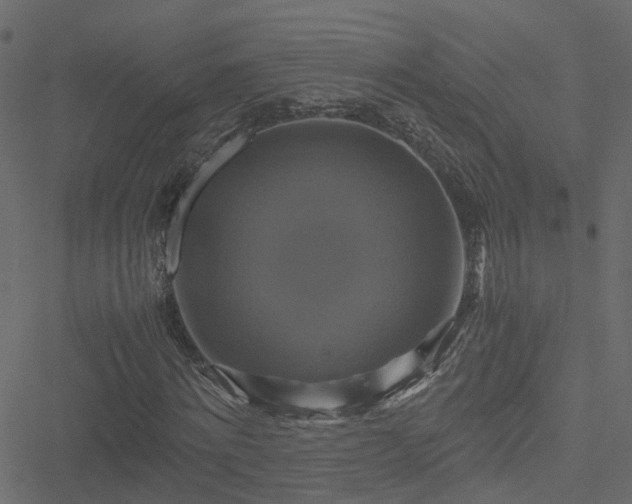 X0000051240868200506241519