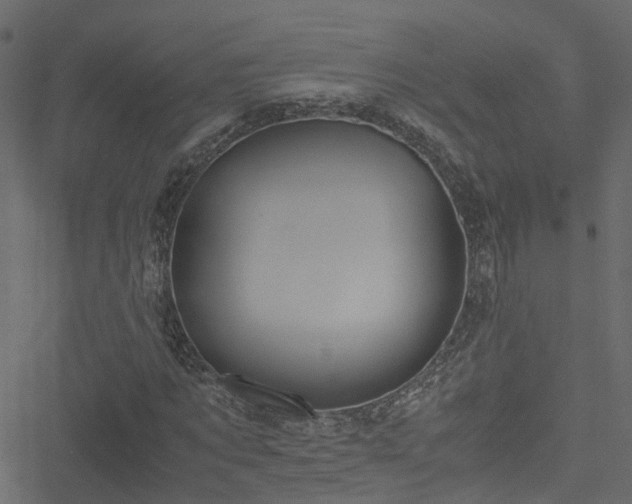 X0000051240869200506241519