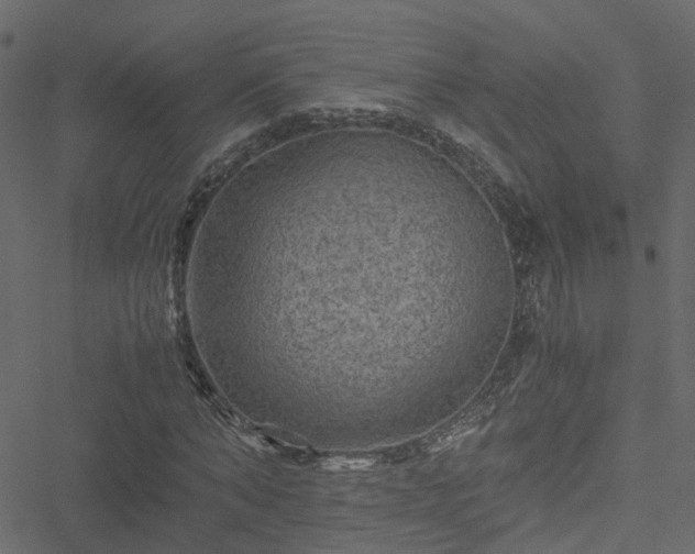 X0000051240870200506241519