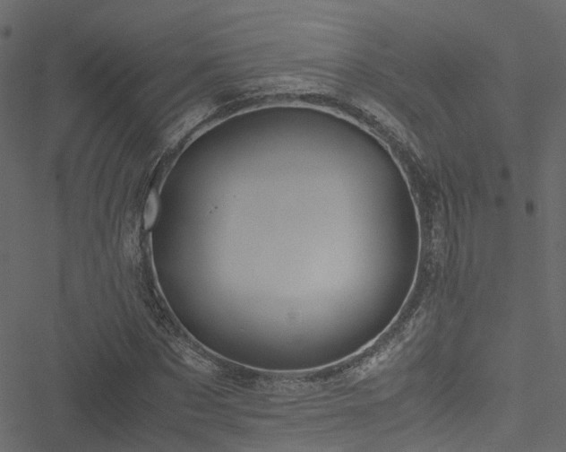 X0000051240873200506241519