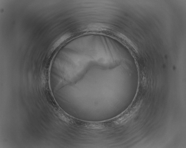 X0000051240874200506241519