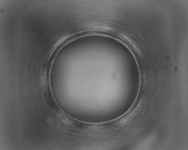 X0000051240875200506241519