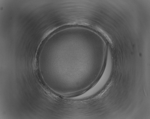 X0000051240876200506241519