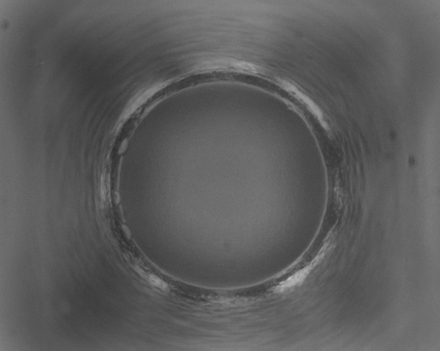 X0000051240877200506241519